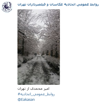 عکاس امیر محمدی جشنواره عکس زمستانی 1396 اتحادیه عکاسان و فیلمبرداران تهران